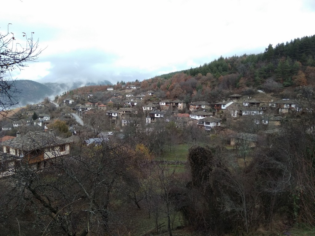 IMG_20191213_105323